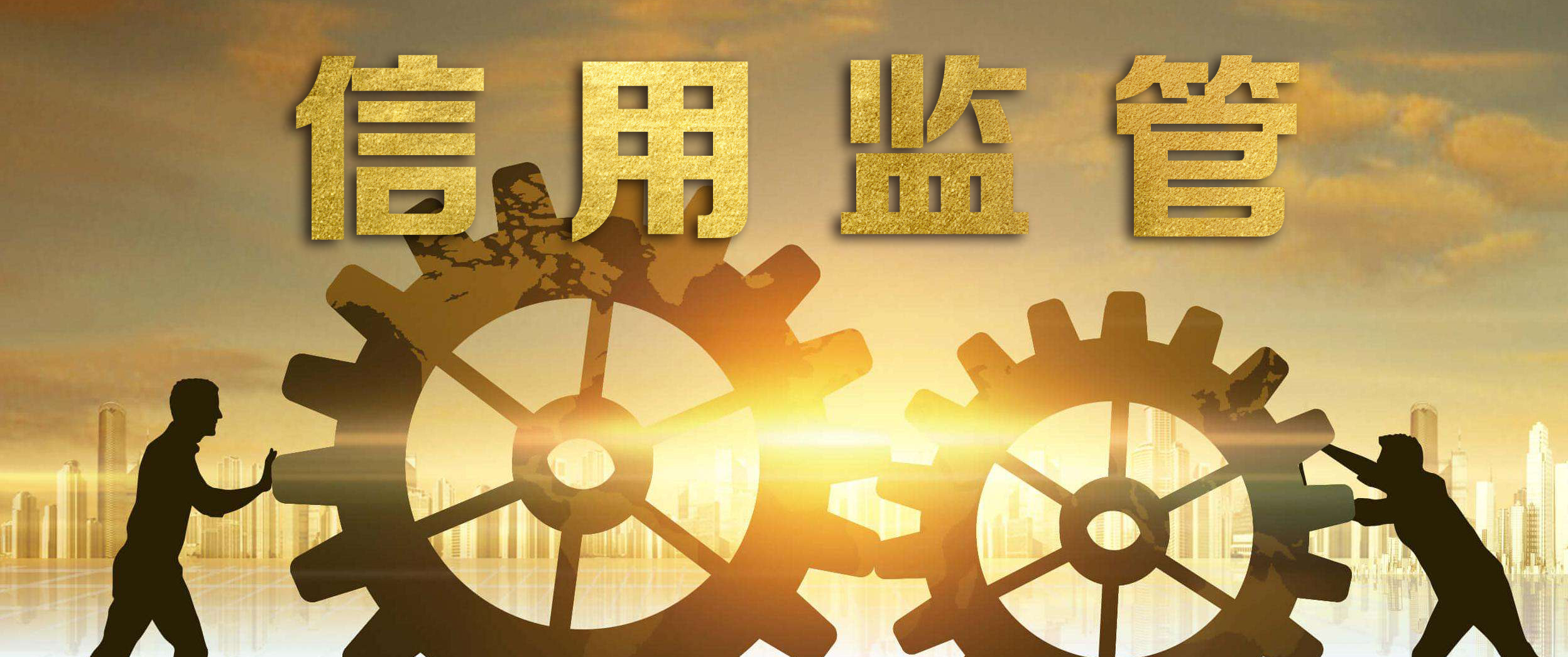 陳洪宛：統(tǒng)籌協(xié)調(diào)合力推進(jìn)信用監(jiān)管工作